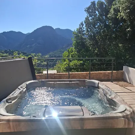 Domaine Le Chemin Des Oliviers Jusqu'a 12 Personnes Piscine Et Ou Jacuzzi