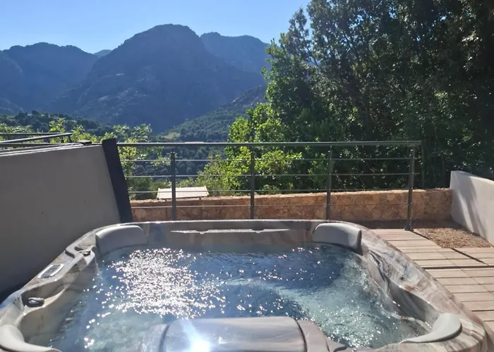 Domaine Le Chemin Des Oliviers Jusqu'a 12 Personnes Piscine Et Ou Jacuzzi