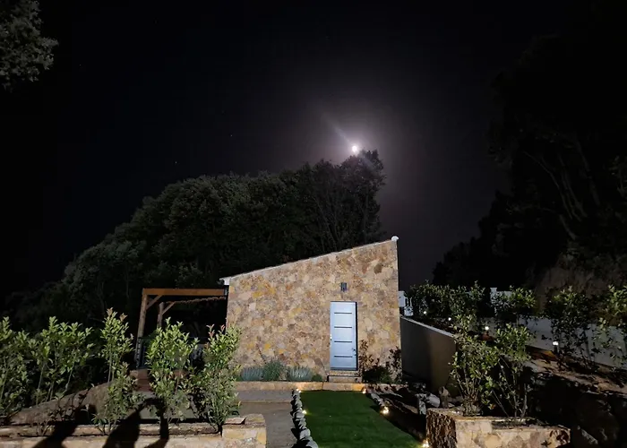 别墅 Domaine Le Chemin Des Oliviers Jusqu'a 12 Personnes Piscine Et Ou Jacuzzi *