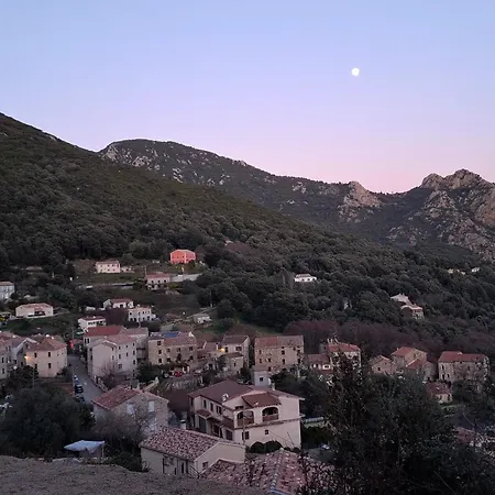 Villa Domaine Le Chemin Des Oliviers Ocana