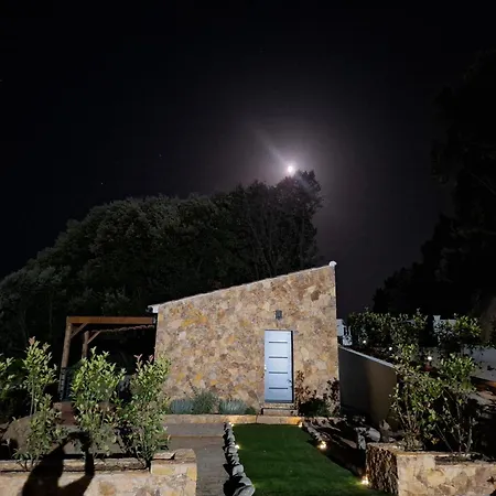 Villa Domaine Le Chemin Des Oliviers Jusqu'a 12 Personnes Piscine Et Ou Jacuzzi *