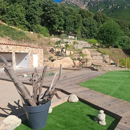 Domaine Le Chemin Des Oliviers Maison 3 8 Personnes Piscine Chauffee 15 Avril 15 Octobre Villa